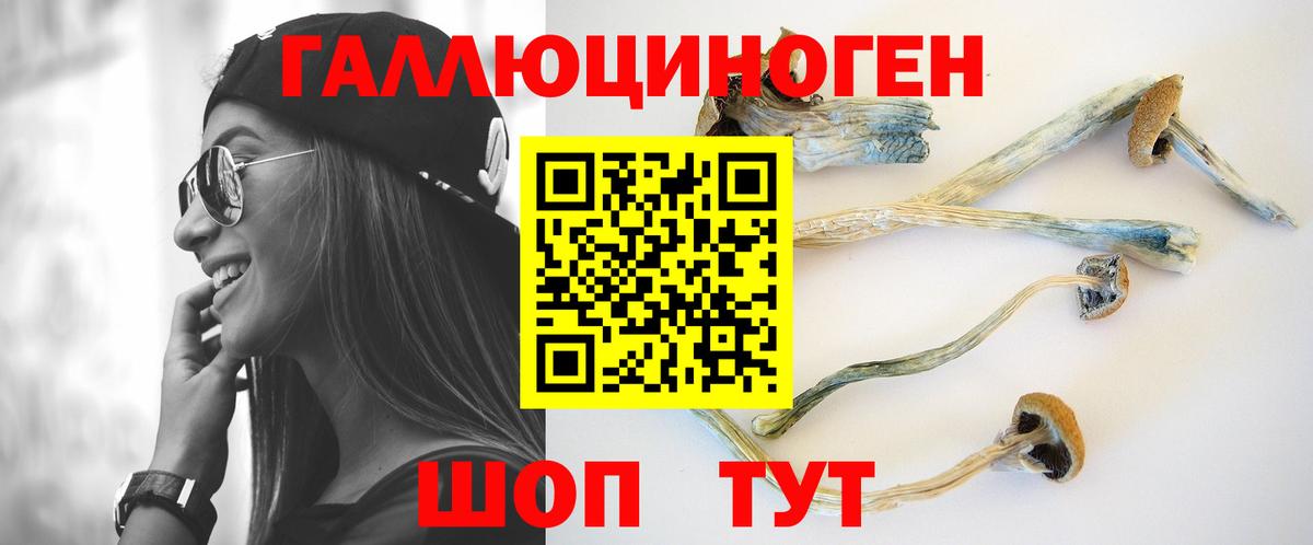 Грязи  Псилоцибиновые грибы ЛСД  Вход с VPN 